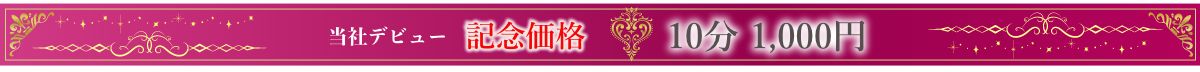 当社デビュー記念価格