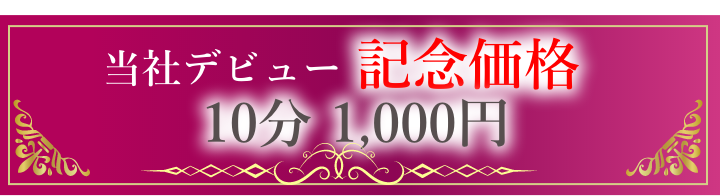 当社デビュー記念価格